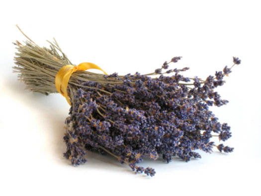 GF Lavender & Amber Cosmetic Grade Fragrance Oil