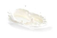 GF Cashmere Cream Cosmetic Grade Fragrance Oil