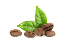 Roasted Coffee Bean Cosmetic Grade Fragrance Oil