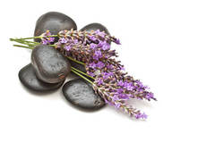 Lavender Woods Cosmetic Grade Fragrance Oil