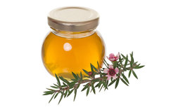 Manuka Honey Cosmetic Grade Fragrance Oil