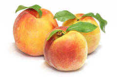 Peach Kernel Oil-Cosmetic