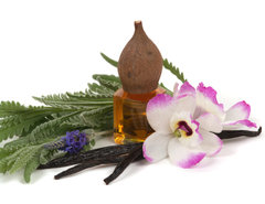 SP Lavender Vanilla Cosmetic Grade Fragrance Oil