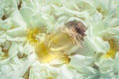 SP Oud Rose Cosmetic Grade Fragrance Oil