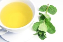 SP Peppermint Tea Cosmetic Grade Fragrance Oil