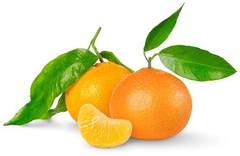 GF Tangerine Cosmetic Grade Fragrance Oil