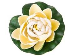 Water Lily Cosmetic Grade Fragrance Oil