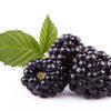 More views of GF Blackberry & Basil Cosmetic Grade Fragrance Oil