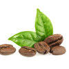 More views of GF Roasted Coffee Bean Cosmetic Grade Fragrance Oil
