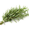More views of SP Rosemary Cosmetic Grade Fragrance Oil