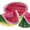 More views of GF Watermelon Medley Cosmetic Grade Fragrance Oil